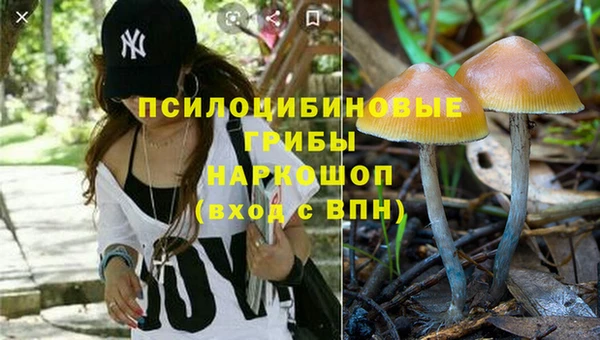ГАЛЛЮЦИНОГЕННЫЕ ГРИБЫ Алексеевка