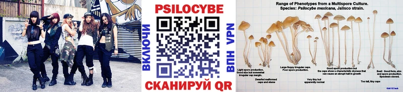 кракен сайт  Чехов  Псилоцибиновые грибы мухоморы 